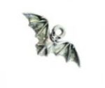 bat bird charm