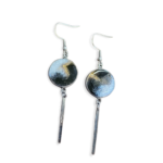 Stainless Steel Drop Resin Earrings